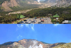 Mengintip Sejarah Letusan Gunung Papandayan yang Pernah Mengubur Desa