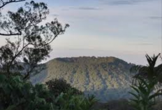 Misteri Gunung Lesung Bali: Eksplorasi Kawah Purba dan Pesona Alamnya