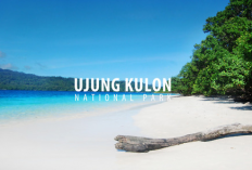 6 Destinasi Wisata Menarik di Ujung Kulon yang Wajib Dikunjungi