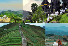Menjelajahi Destinasi Wisata Tersembunyi, Keindahan Alam Desa Cipacing di Majalengka!