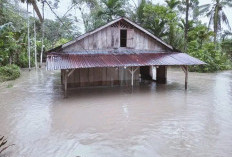 Korban Bencana Nias Barat 4 Ribu Jiwa