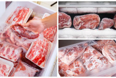Wajib Kalian Tahu, 5 Cara Mencairkan Daging Beku dalam 7 Menit, Ini Dia Penjelasannya!