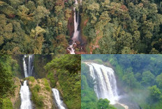 Mengungkap Keindahan Tersembunyi: Rekomendasi 6 Wisata Air Terjun Terindah di Kendal, Jawa Tengah!