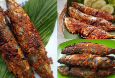 Kuy Cobain Resep Ikan Kembung Bakar Padang tanpa Santan,Enak Dan Lezat!