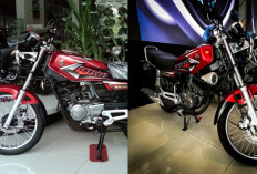 RX King: Motor Legendaris dengan Kelebihan dan Kekurangan yang Perlu Dipahami!