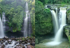 Sebelum Berkunjung Yuk Simak, Air Terjun Sekumpul Keajaiban Alam Dengan Aura Mistis yang Menghanyutkan!