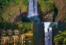 Pesona Alam Garut: Gunung, Curug, dan Kampung Adat dalam Satu Perjalanan