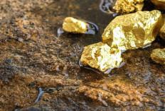 Penemuan Logam Emas di Gunung Padang Gemparkan Dunia, Bukti Ada Kehidupan Masa Lampau? Ini Penjelasanya