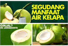 Mitos Atau Fakta Air Kelapa Muda Bisa Menyehatkan Ginjal?
