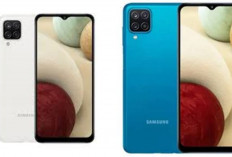 Harga Terbaru Agustus 2026 Samsung Galaxy A12, Masih Layak Dibeli Cek Spesifikasi dan Kisaran Harganya!