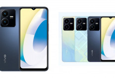 Masih Jadi Primadona! vivo Y22 di Tahun 2026 Turun Harga, Masih Layak untuk Gaming dan Konten?