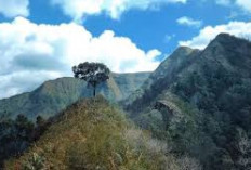 Keren Banget, Inilah Keindahan yang Mempesona di Puncak Tertinggi Kedua di NTB Gunung Sanggar