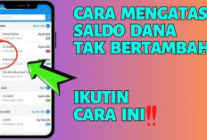 Saldo DANA Gratis Mengalir Sampai Rp600 Ribu, Yuk Coba! Gak Pake Ribet Langsung Cair, Isi Survey Ini!