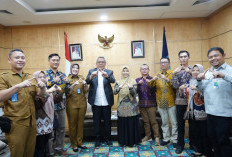 Dorong Inovasi Pendapatan Daerah