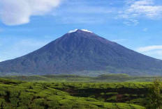 Wajib Diketahui, Ini 10 Gunung Tertinggi di Indonesia, Destinasi Para Pendaki!