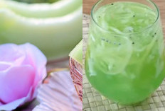 Melon Jadi Apa Saja? Intip 8 Kreasi Menarik dan Sehat dari Buah Melon