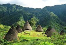 Menakjubkan! Inilah Pesona Destinasi Wisata Budaya Di Manggarai: Wae Rebo