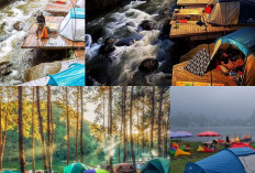 Menghabiskan Waktu di Alam Terbuka, Destinasi Camping Sejuk di Bandung!