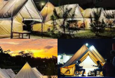 Sensasi Berkemah Yang Berbeda, Wisata Camping Ground Bukit Surya Salaka di Bogor 