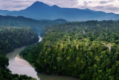 Bikin Bulu Kuduk Berdiri! Inilah Fakta dan Misteri Gunung Leuser