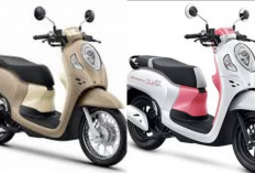 Resmi Rilis! Honda Scoopy Terbaru Tawarkan Efisiensi dan Kenyamanan Ditahun 2025