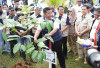 Soroti Anomali Iklim - Ancaman Hilangnya Kayu Khas Sumsel
