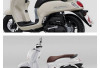 Bikin SPBU Sepi! Adik Honda Scoopy Resmi Meluncur, Konsumsi BBM Tembus 58 Km/Liter