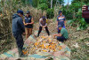 Polsek Dempo Utara Pantau Panen Jagung Pakan di Kerinjing