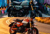 Makin Gemas dan Ikonik! Honda Monkey 2026 Meluncur dengan Pilihan Warna Baru yang Segar