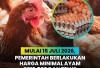  Kementan Tetapkan Harga Minimal Ayam Hidup Rp19.500/Kg dan Telur Rp24.000/Kg Mulai 15 Juli 2026