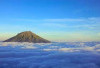 Dengan Hamparan Padang Edelweiss, Inilah Daya Tarik Gunung Sindoro!