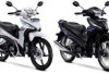Resmi Meluncur! Honda Revo 2025 Tampil Lebih Modern, Super Irit, dan Harga Mulai Rp1luncur Honda Revo 2025 T