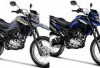 Honda Bros 160 Terbaru 2026 Siap Masuk Indonesia Desain Naked Sport Gagah, Mesin Tangguh dan Irit BBM 2026!