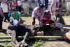 Kebersamaan Warnai Idul Adha di Dusun Pelang Kenidai