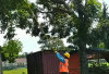 Wujudkan Pasokan Listrik yang Aman dan Andal