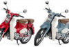 Honda Super Cub Terbaru 2026 Resmi Hadir, Ikon Motor Legendaris Kini Lebih Modern, Irit, dan Berkelas 2026! 