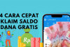 Saldo DANA Rp130.000 Cair! Begini Tips Cepatnya