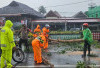 Cuaca Ekstrem, Pohon Tumbang Tutupi Jalan