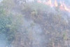 Kebakaran Hutan di Liku Endikat Nyaris Capai Perkebunan Warga