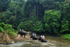  Keindahan Alam dan Kekayaan Biodiversitas, Fakta Menarik Taman Nasional Bukit Barisan Selatan