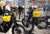 BSA B65 Scrambler 2025, Motor Baru Bergaya Scrambler, Siap Tantang Royal Enfield dan Triumph