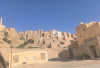 Tarim Habib