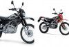 Harga Terbaru Kawasaki KLX 150 Juni 2026 Resmi Terungkap, Berapa Selisihnya dengan Motor Trail Rival!