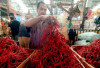 Harga Cabai Merah Turun Tajam