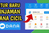 Banyak yang Nggak Tau, Ini Manfaat DANA Cicil