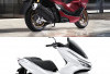 Honda PCX 160 Street Jadi Sorotan, Ini Varian Resmi dan Harga Terbaru Februari 2026 
