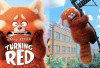 Yuk Nonton Film Animasi Turning Red, Kisah Meilin yang Berubah Jadi Panda Merah