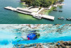 Keajaiban Bawah Laut Kepulauan Seribu yang Kini Kembali Hidup dan Memukau