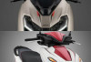 Honda Forza 750 2027 Tampil Lebih Segar, Hadir dengan Dua Pilihan Warna Baru yang Lebih Berkarakter