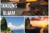 Permata Tersembunyi di Lombok Timur. Pesona Pantai Tanjung Bloam Bikin Penasaran. Ini Ulasan Lengkapnya!
